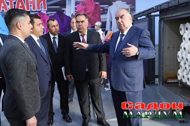 53028000842_843e05f35b_o