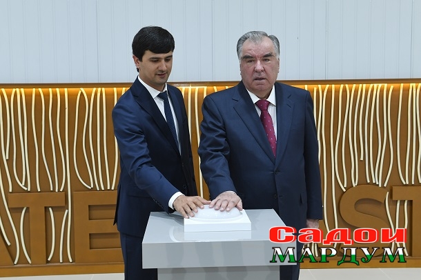 53117951056_055e5a7870_o