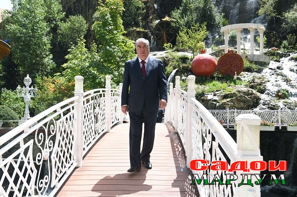 53118946063_1fcdcb9629_o