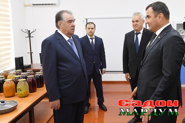 53119003657_bf293cdf90_o