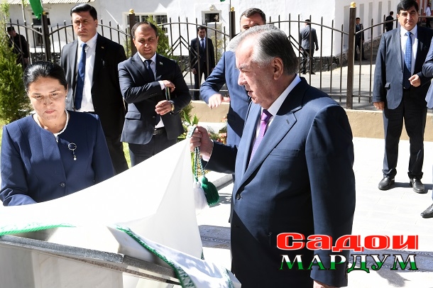 53121888102_7ede745c3a_o