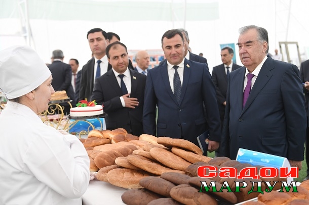 53122702790_38a3c7e8c2_o