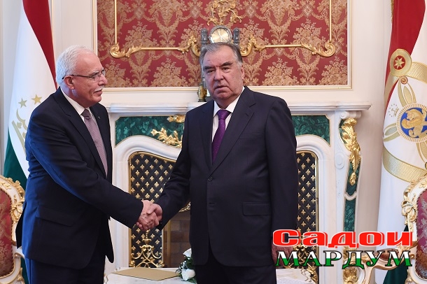 53148946442_65d2c49387_o