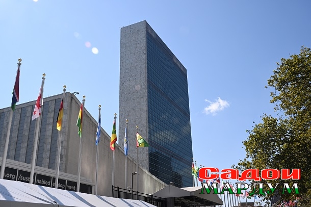 53201705606_d6ebc98914_o