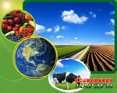 fao-banco-mundial-14231