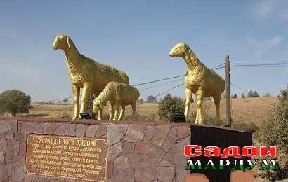 sheep