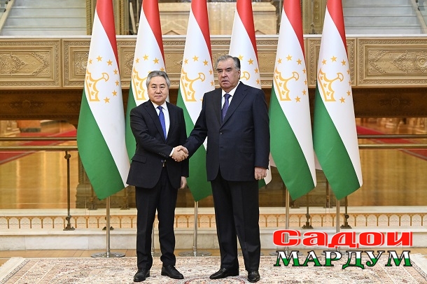 53508944587_d4e729918a_o