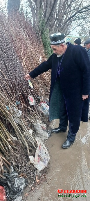 Нихол
