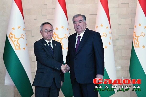 53782859367_63d5ff442d_o