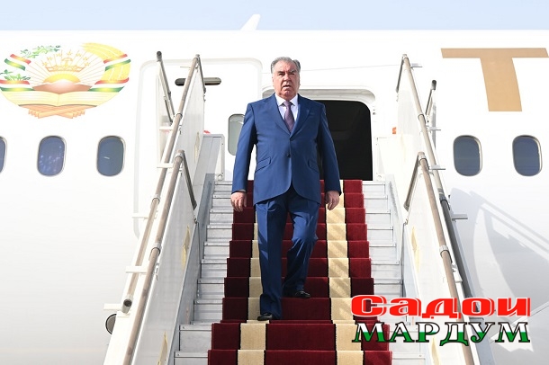 53891012985_b489d66660_b