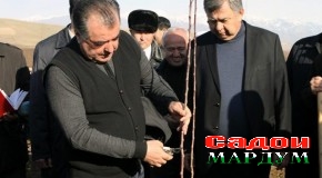 Иштирок дар ҳашари умумии ниҳолшинонӣ