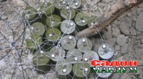 Масоҳати минтақаҳои хатарнок коҳиш меёбад
