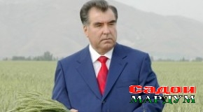 Табрикот дар рӯзи муборакашон