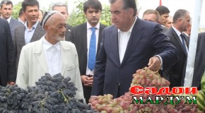 Боздид аз хоҷагиҳои деҳконӣ