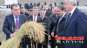 Шиносоӣ бо фаъолияти шоликорон дар ноҳияи Бобоҷон Ғафуров