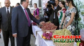 Оғози фаъолияти сардхонаи ҶДММ «Ситабр-Агро»-и ноҳияи Ҳисор