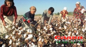 Суръати ҳосилғундорӣ суст аст