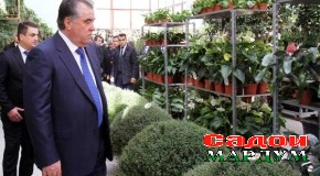 Шиносоӣ бо кори гулпарварони ҶДММ «Пайванд»