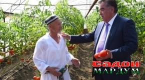 Сафари кории Эмомалӣ Раҳмон ба ноҳияи Рӯдакӣ