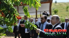 ДИДОРИ МЕҲМОНОН  АЗ БОҒҲОИ БИҲИШТИИ ТОҶИКИСТОН