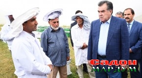 Боздид аз намоиши дастовардҳои соҳаи чорводории мамлакат