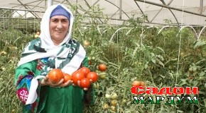 Буҷети маҳаллӣ аз соли 1991 то 2015-ум 46,6 маротиба зиёд шудааст