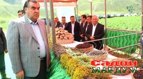 Сафари кории Пешвои миллат ба мавзеи Канаски деҳоти «Ромит»-и шаҳри Ваҳдат