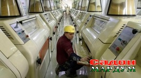 Шумо аз рухсатии иҷтимоӣ истифода бурдаед?