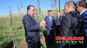 Сафари кории Пешвои миллат ба ноҳияи Муъминобод