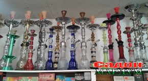 Чилимкашӣ. «Аз борон зери новадон?»