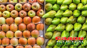 Чаро бозори меваи минтақаи Рашт касод шуд?