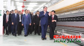 Соли қадамҳои устувор ба сӯи ояндаи босаодат