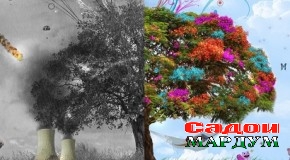 Бетафовутӣ вазъи экологии сайёраро ногувор кардааст