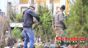 Ҷашни Сада омодагӣ ба киштукори баҳорист