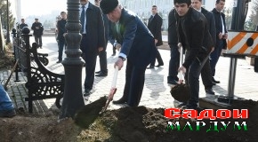 Ҳашари умумии ниҳолшинонӣ дар Шаҳри Душанбе