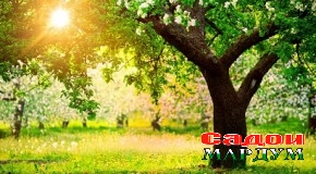 Ягона рӯзе, ки тағйирнопазир аст