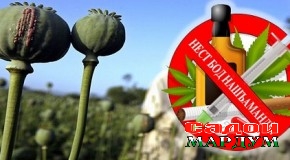Дар ҷумҳурӣ 7067 нашъаманд ба қайд гирифта шудааст