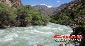 Бо ҷарима кардану ҷазо додан оё метавон фарҳанги экологиро баланд бардошт?