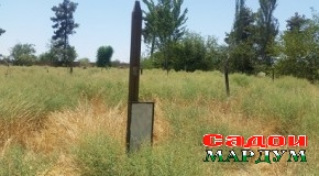 Рӯҳи озурдаи қаҳрамонро кӣ шод мегардонад?