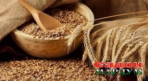 Қиссаи 11 кило гандум