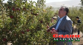 Сафари кории Пешвои миллат ба ноҳияи Хуросон