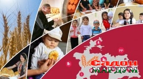 Шикам серу организм гурусна