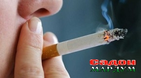 «Тамокукашӣ ба саломатӣ зарар дорад»