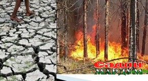 Чӣ тавр ба тағйирёбии иқлим бояд мутобиқ шуд?