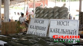Чаро аз сигарет ҳазар дорему аз нос не?
