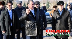 Пешвои миллат ба маъракаи ниҳолшинонӣ оғоз бахшиданд