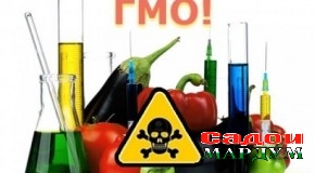 На ҳар чизе, ки ҷило медиҳад, тиллост