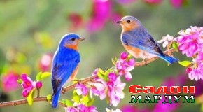 Эъмори корхона бо гранти президентӣ