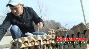Арзонӣ ба ҳаннотон писанд нест!