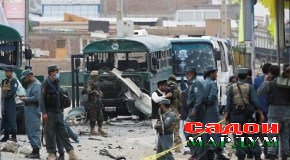 Ливои бедорӣ